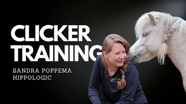 Sandra Poppema with a gray horse touching her shoulder