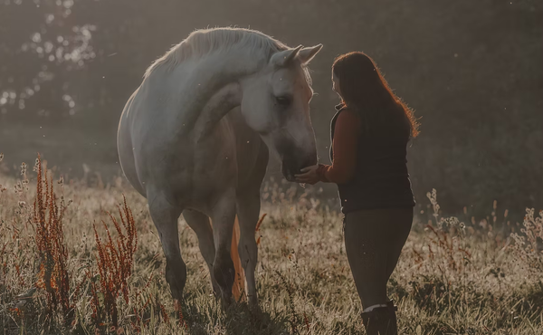Lucy Butt with a grey horse in a misty paddock