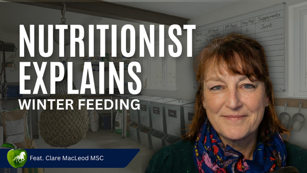 Swapping hay? Horse nutritionist explains why it takes 7-10 days