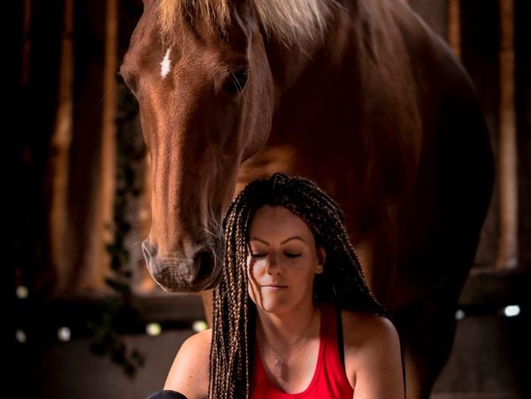 What If Your Horse Is Hiding Trauma? The Truth Behind the Calm