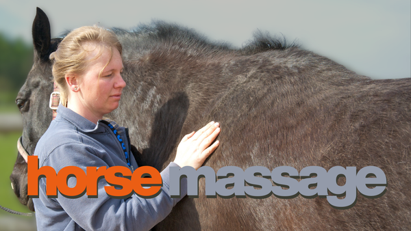 Feat. Sue Palmer, The Horse Physio