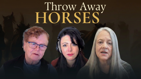 Theresa, Katheryn and Anna Louise | Curious Equestrian Podcast