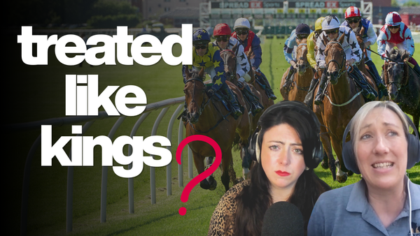 Treated like kings, when all they want is to be horses