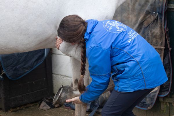 Breathing all wrong, and the other habits horses forgive