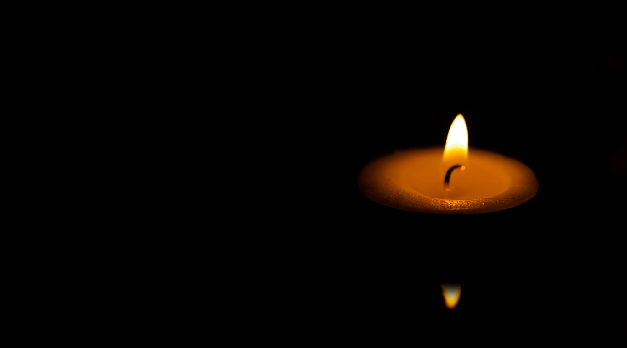 everyday bullshit and SOL - Students of life 