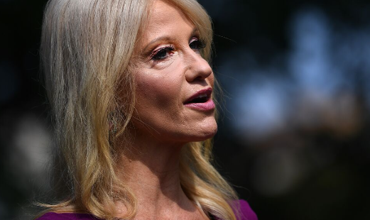 Kellyanne Conway Shares Big Update On Donald Trump's Running Mate