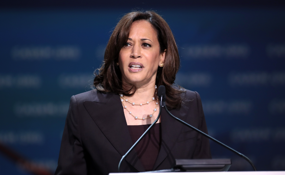 Mainstream Media Fact-Checkers Critique Kamala Harris' DNC Speech