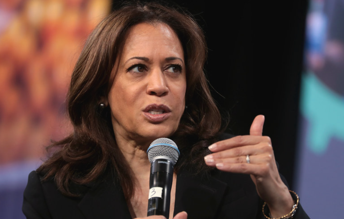 Gingrich: Kamala Harris in ‘Early Stages of Collapse’