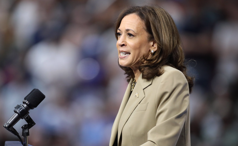 Harris on Musk’s $1M Giveaway to Registered Voters: ‘People Are Looking Into It’