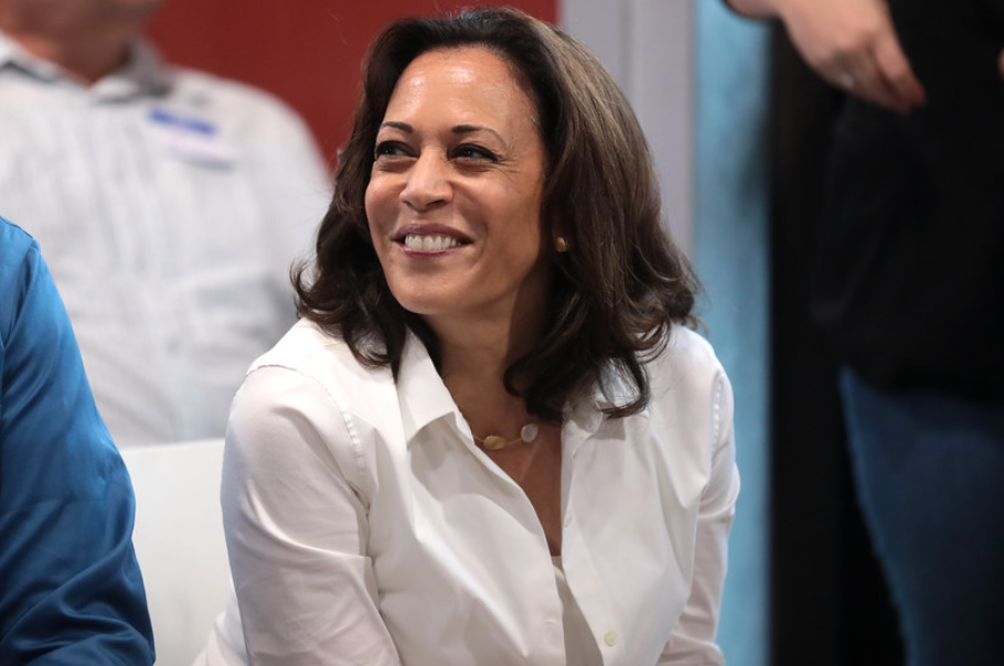 Musk Slams VP Harris on ‘Equity’ Focus: Calls It ‘Communist’
