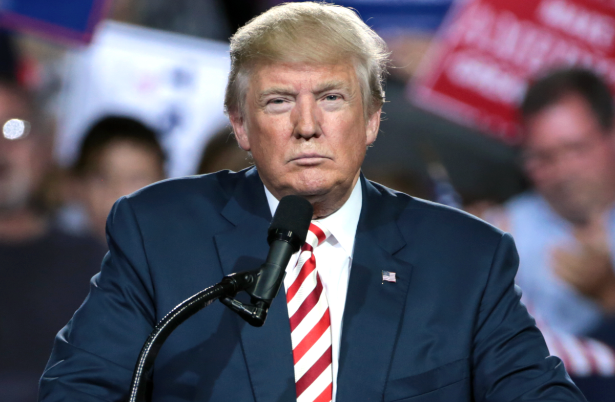 Trump Vows Full Commitment to Mass Deportation Effort: Declaration of National Emergency and Military Role on the Horizon