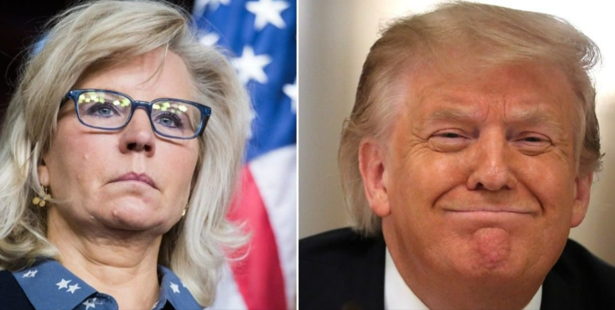 New Poll Shows Liz Cheney Damaged Harris Campaign In Key Swing States