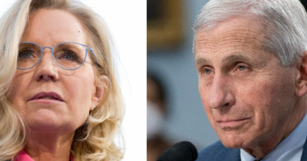 Biden Pardons For Cheney, Fauci, Others Could Backfire: Legal Expert