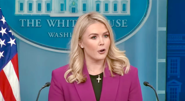 Watch: Karoline Leavitt Obliterates AP Reporter for Talking to Her Like a Child During Press Briefing