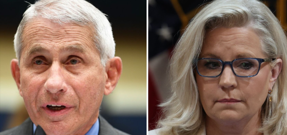 Biden’s Pardons Of Fauci, Cheney, Won’t Cover Lying to Congress: Analysts