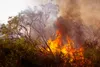 Flammenhölle in Südeuropa: Hunderttausende evakuiert – Notstand in Spanien und Frankreich (Videos)