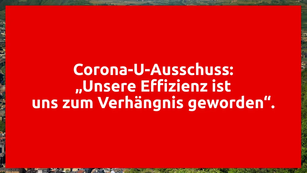 Corona-U-Ausschuss: „Unsere Effizienz ist uns zum Verhängnis geworden“
