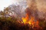 Katastrophe bei Madrid: Verheerender Waldbrand verwüstet Fläche so groß wie Bremen