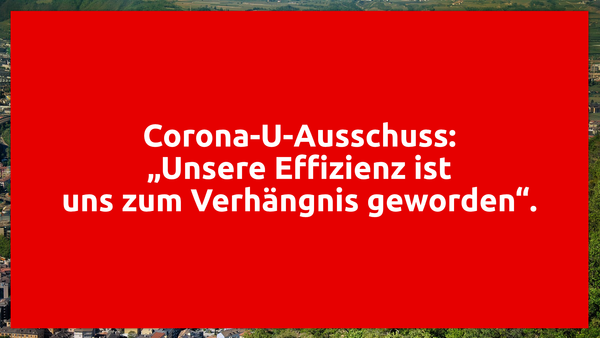Corona-U-Ausschuss: „Unsere Effizienz ist uns zum Verhängnis geworden“