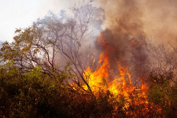 Flammenhölle in Südeuropa: Hunderttausende evakuiert – Notstand in Spanien und Frankreich (Videos)