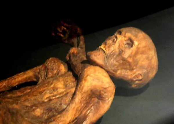 Das „Ökosystem Ötzi“: Was uns 5.000 Jahre alte Mikroben über die Evolution unserer Gesundheit verraten