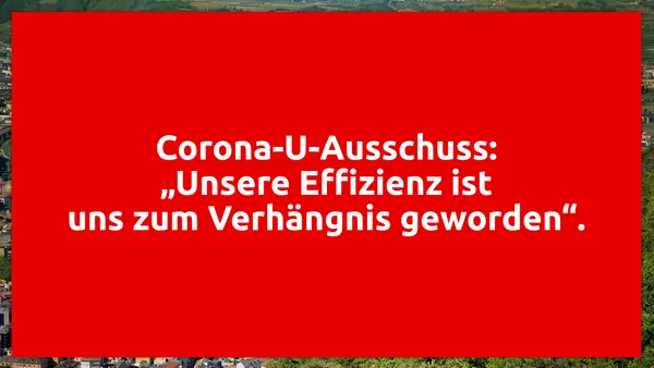 Corona-U-Ausschuss: „Unsere Effizienz ist uns zum Verhängnis geworden“