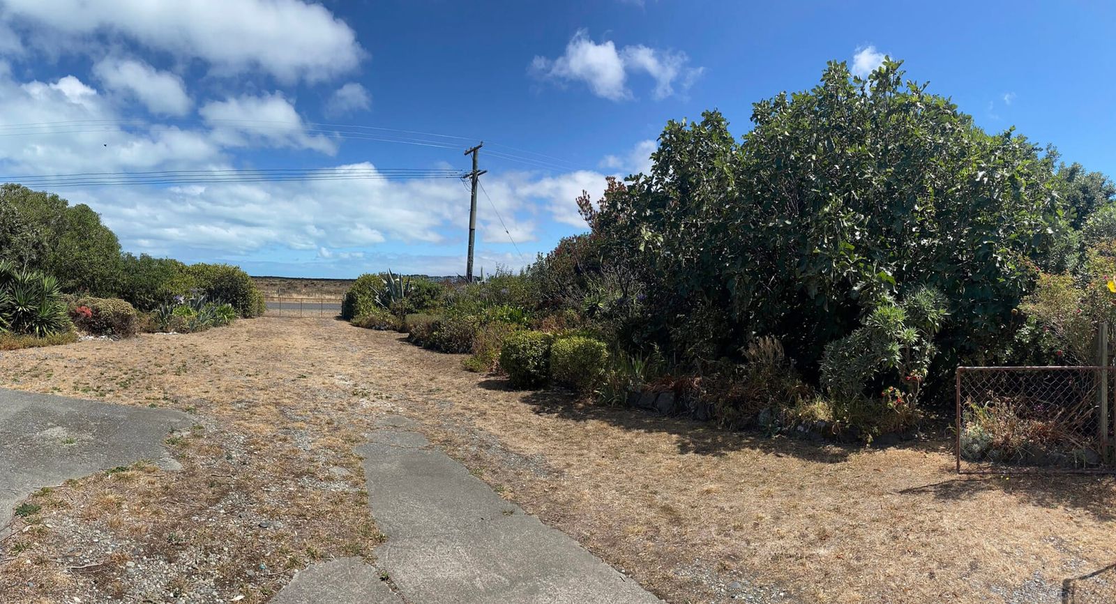 世上最醜的草地