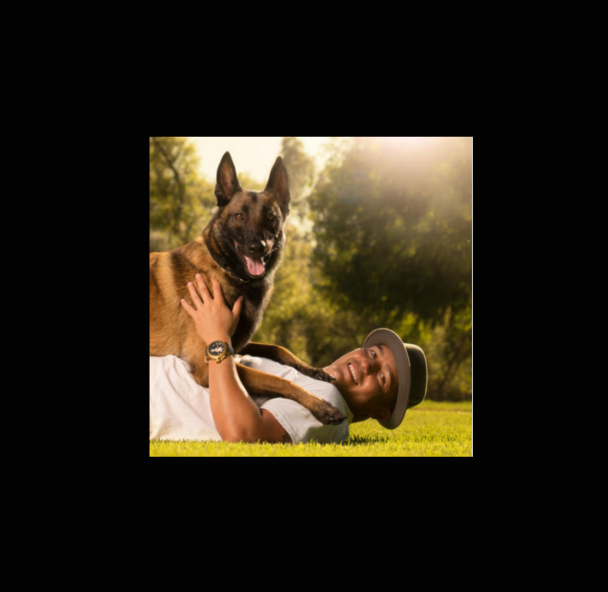 Ryan Matthews – US Army Veteran and Dog Trainer