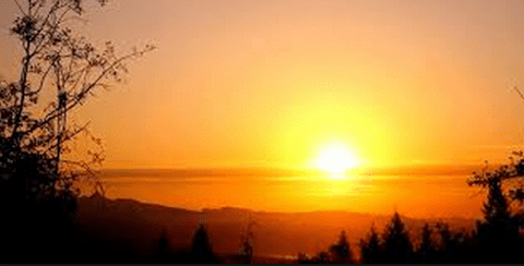 My Sleep Deprived Morning Routine