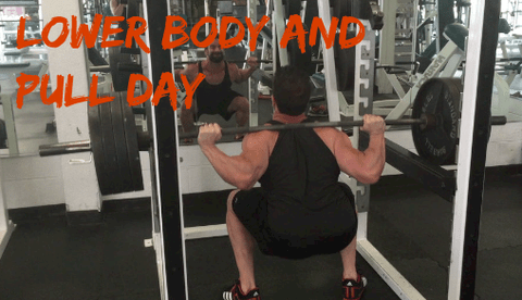 Lower Body and Pull Day