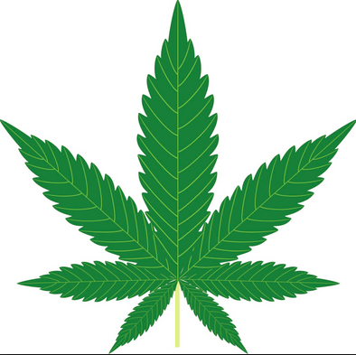 Marijuana and Fitness: CBD