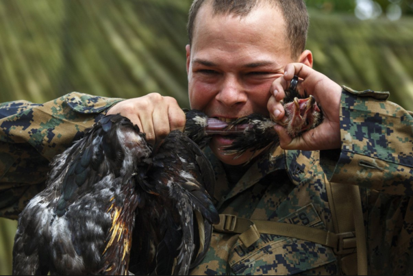 After the Military: How to Find a Job that You Love