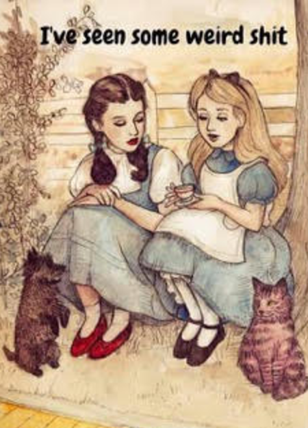 Inner Battles with Outer Space: Psychedelics and Their Potential Benefits for the Veteran Community