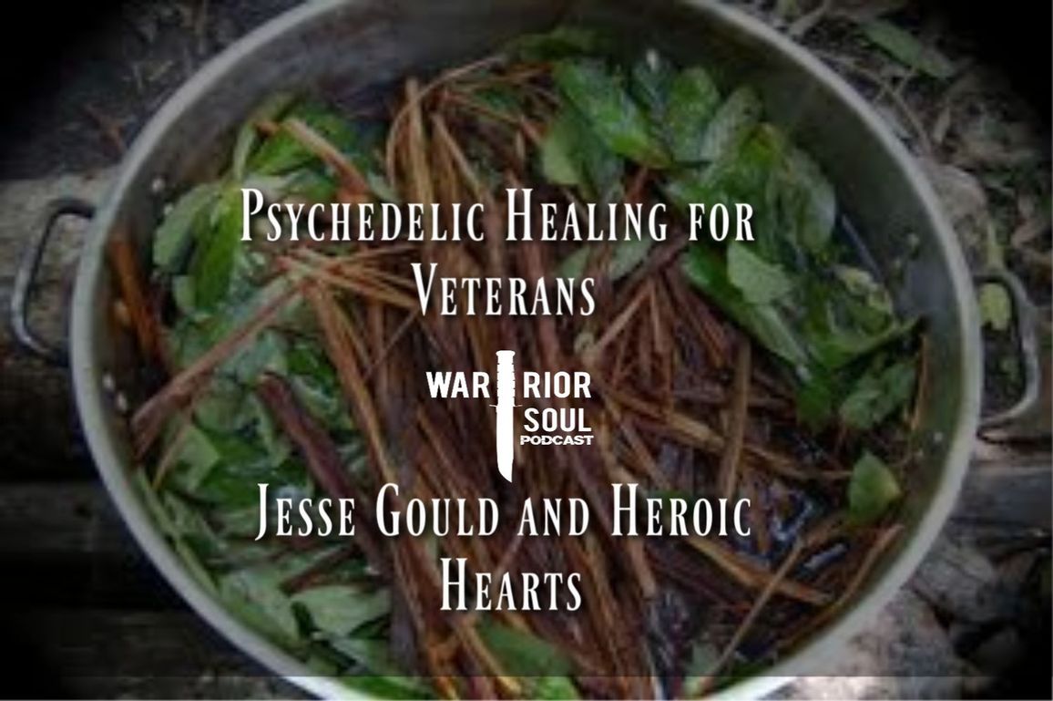 Psychedelic Healing and Veterans: Jesse Gould