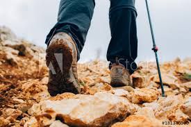 How to Make Covid-19 The Best Thing That Ever Happened to You