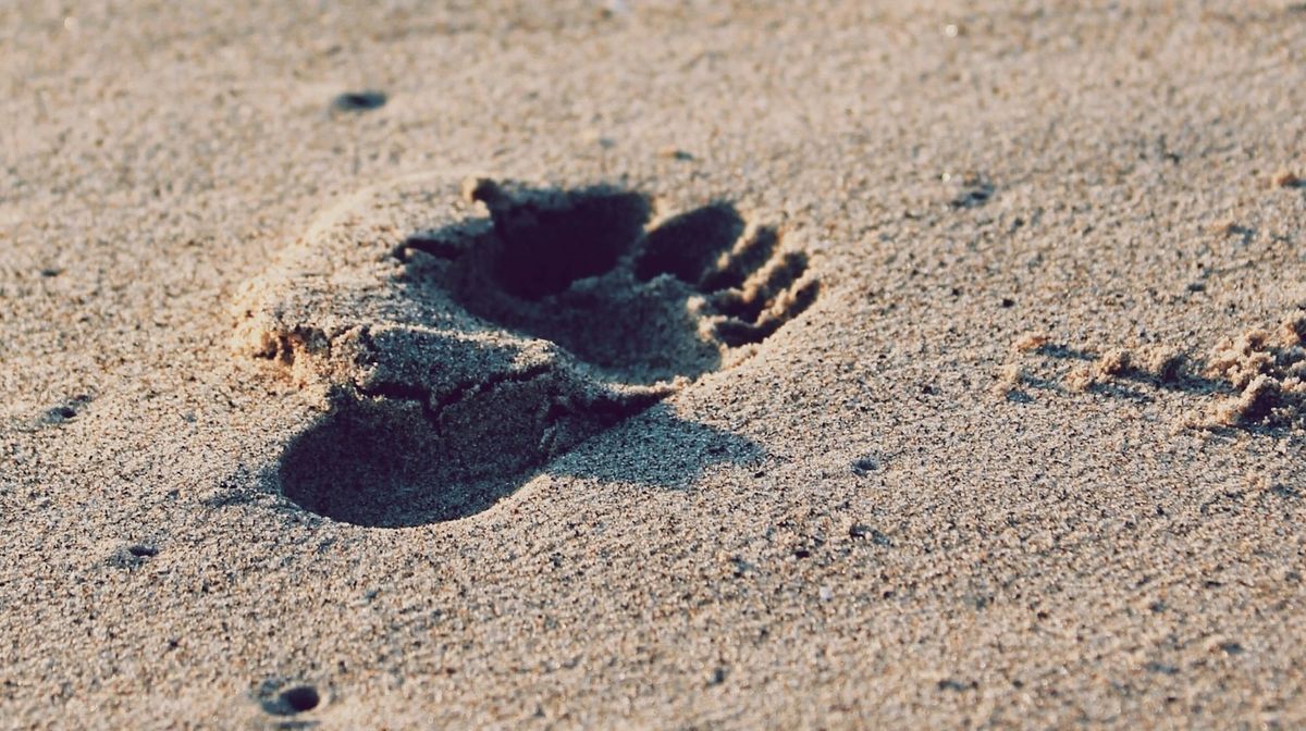 Footprints on the Moon Will Outlast Almost Everything on Earth