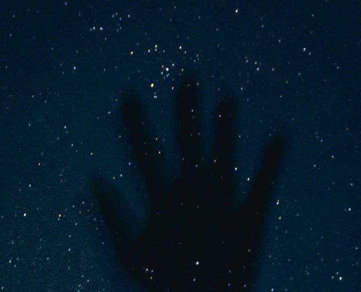 The Day We Reached for the Stars