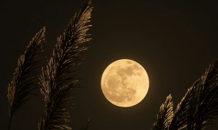 The Moon Used to Be Closer
