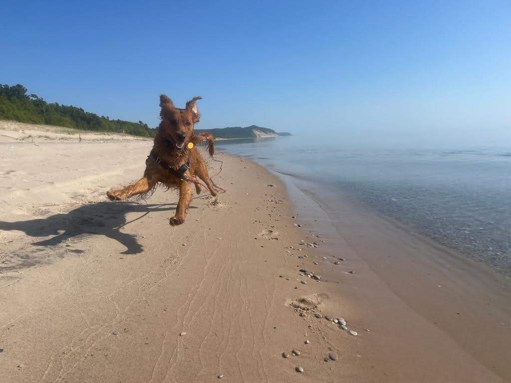 AlphaSense hits $4B valuation (TWIF 6/15)