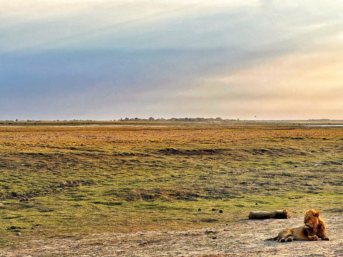 Will China’s economy rebound?(TWIF-China 10/04)