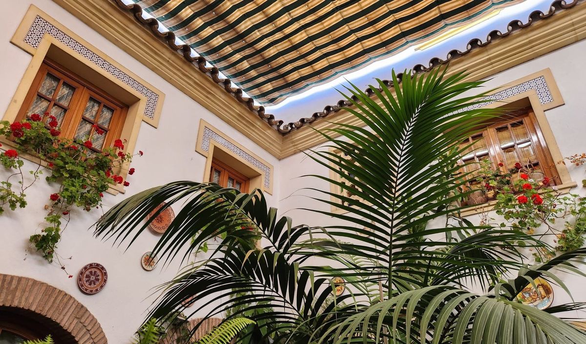 A week of verticals (TWIF - MENA 29/05)