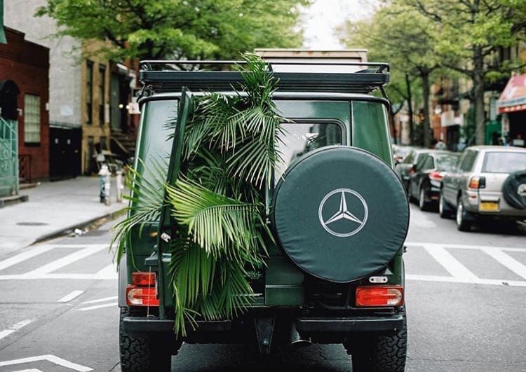 JPMorgan.eth, Visa.eth, PayPal.eth (TWIF 8/1)