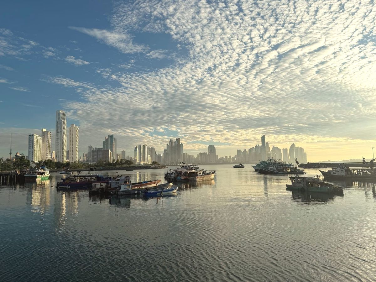 TWIF LatAm September 14 - Don’t miss out on our September events!