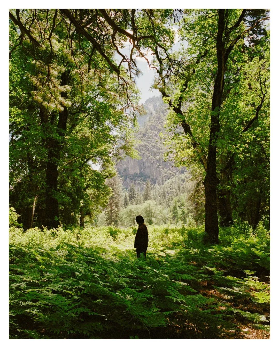 Robinhood takes on WallStreetBets (TWIF 9/12)