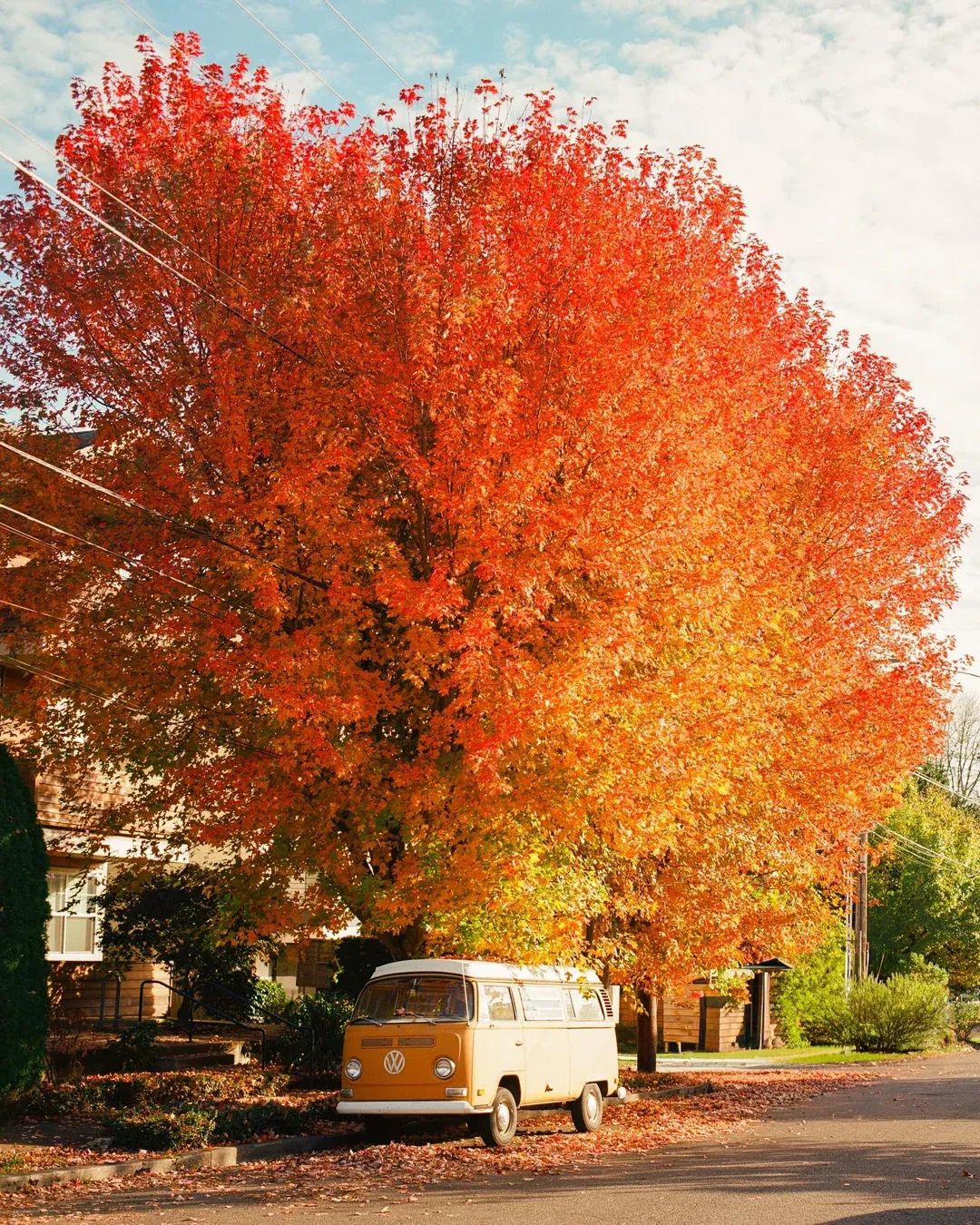 Tether is playing a different game (TWIF 9/27)