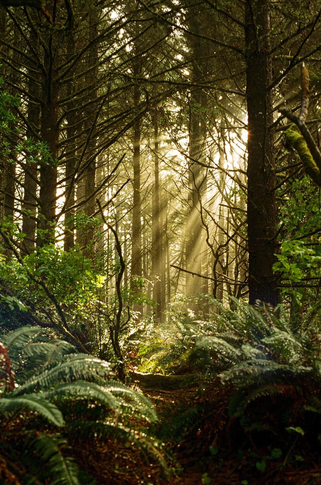 AI for ERPs continues to be a hot bet (TWIF 10/4)