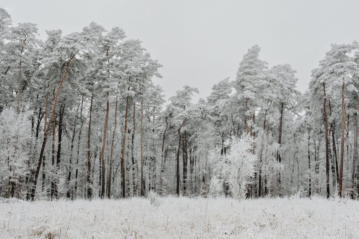 Winter is coming, but funding stays hot (TWIF 12/13)