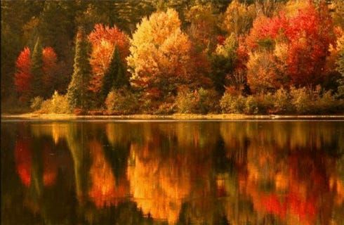 This Week in Fintech Latam (01 Oct)