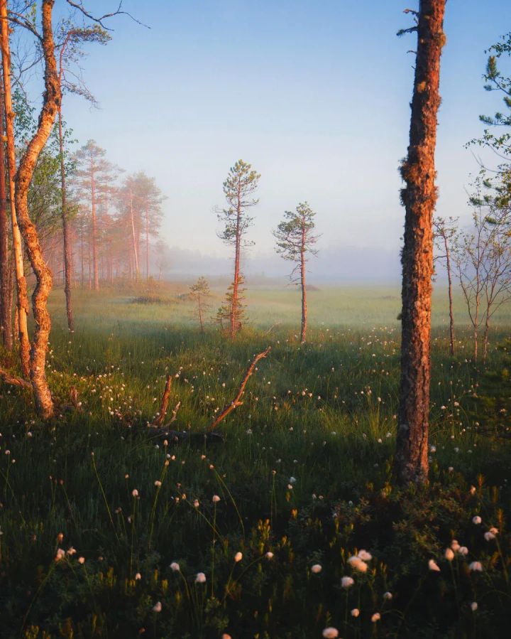 Deel acquires remote work startup Hofy for $100M+ (TWIF 7/21)