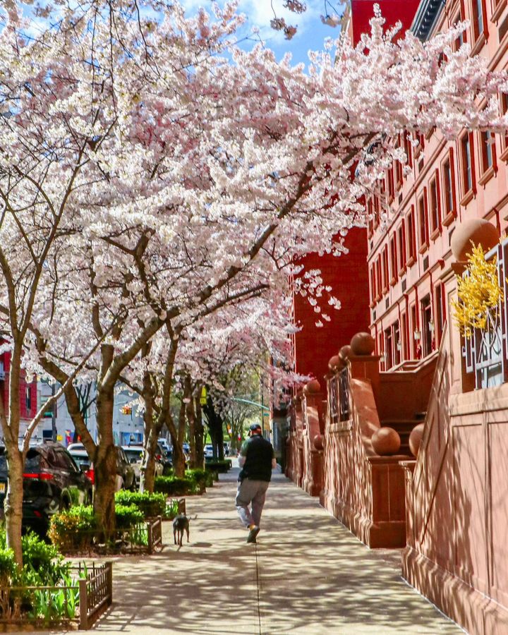 Payments Are A Flat Circle (TWIF 4/25)